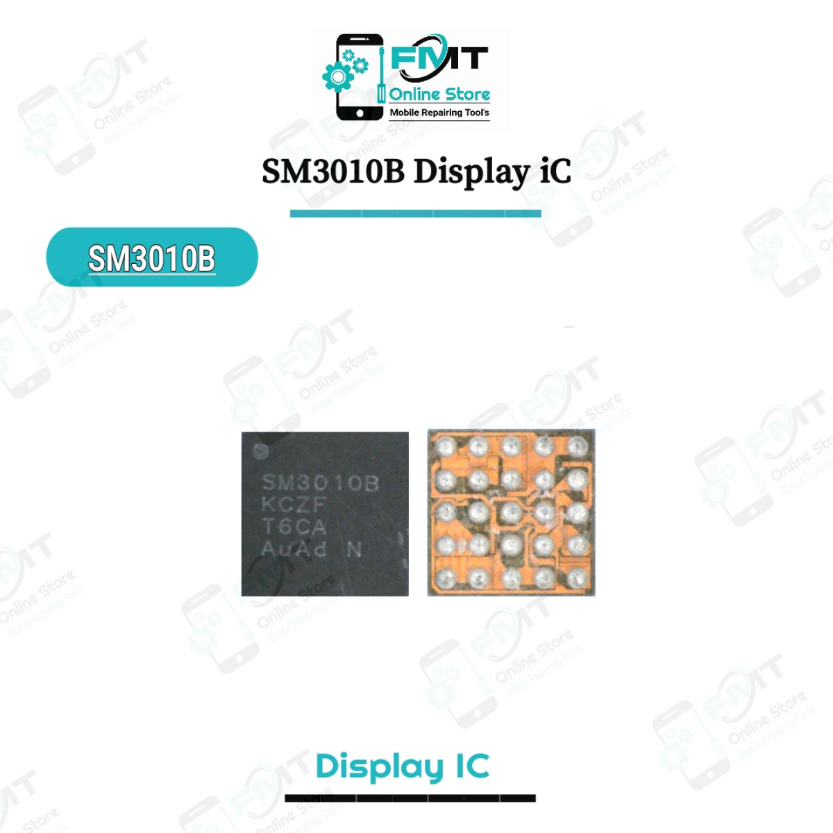 SM3010B