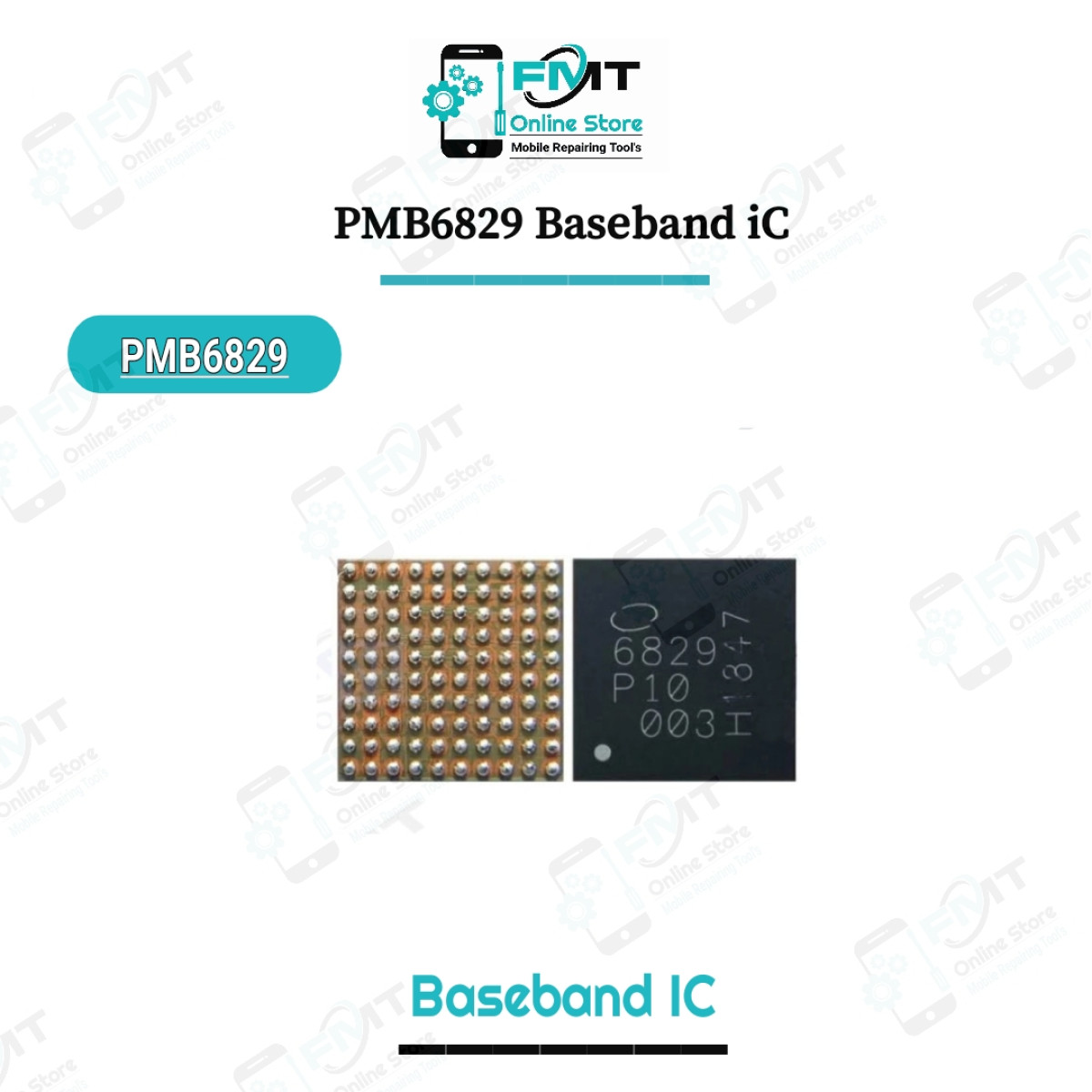 PMB6829